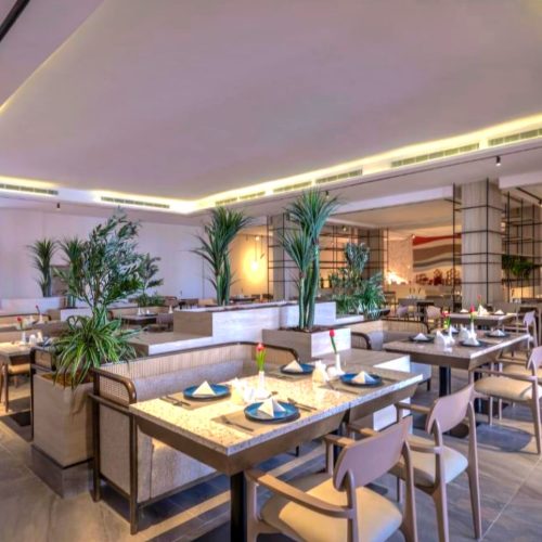 WhatsApp Image 2024-11-21 at 11.19.20 PM